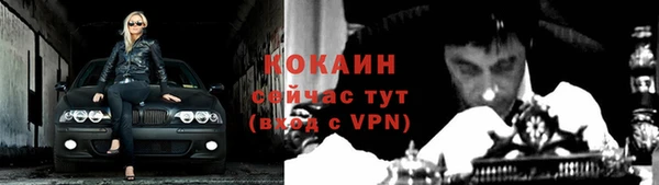 шишки Дедовск