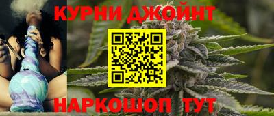шишки Аргун