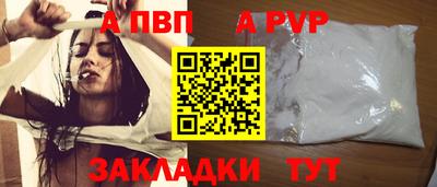 шишки Аргун