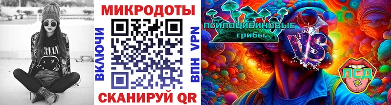 Псилоцибиновые грибы Magic Shrooms  наркотики  Нальчик 