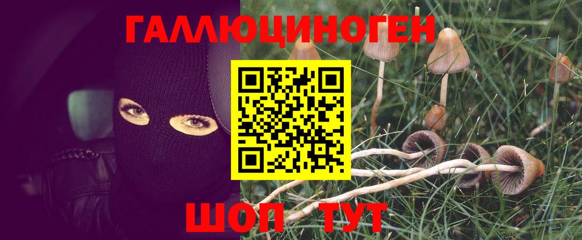 Нальчик  Галлюциногенные грибы прущие грибы  Вход с VPN 